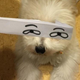 Illustration for article titled Fake Cartoon Eyes for Cats Make Everything Better
